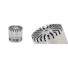 Bruel & Kjaer 4192 1/2" microfoon