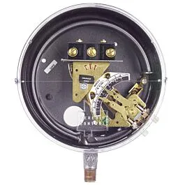 Dwyer DS-7231-153-1 Bourdon-buis Drukschakelaar