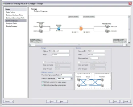 Spirent BPK-1005B Multicast Routing Basis Pakket
